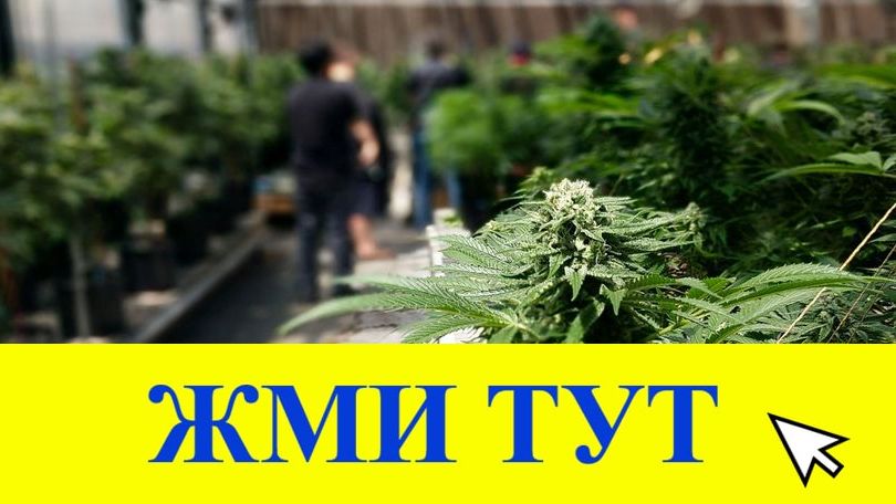 Купить наркотики в Дзержинске